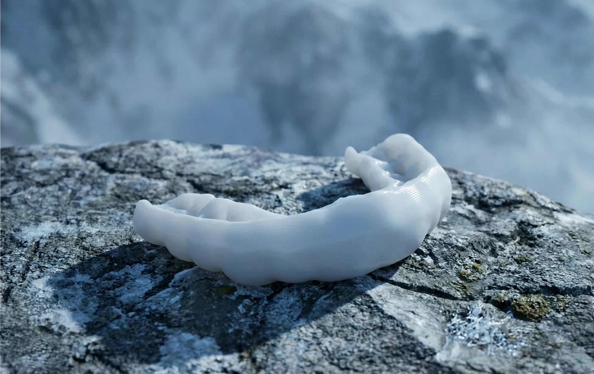 ULTRAPROTECT (with scan)